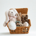 Newborn gift basket with personalized baby items in Dubai